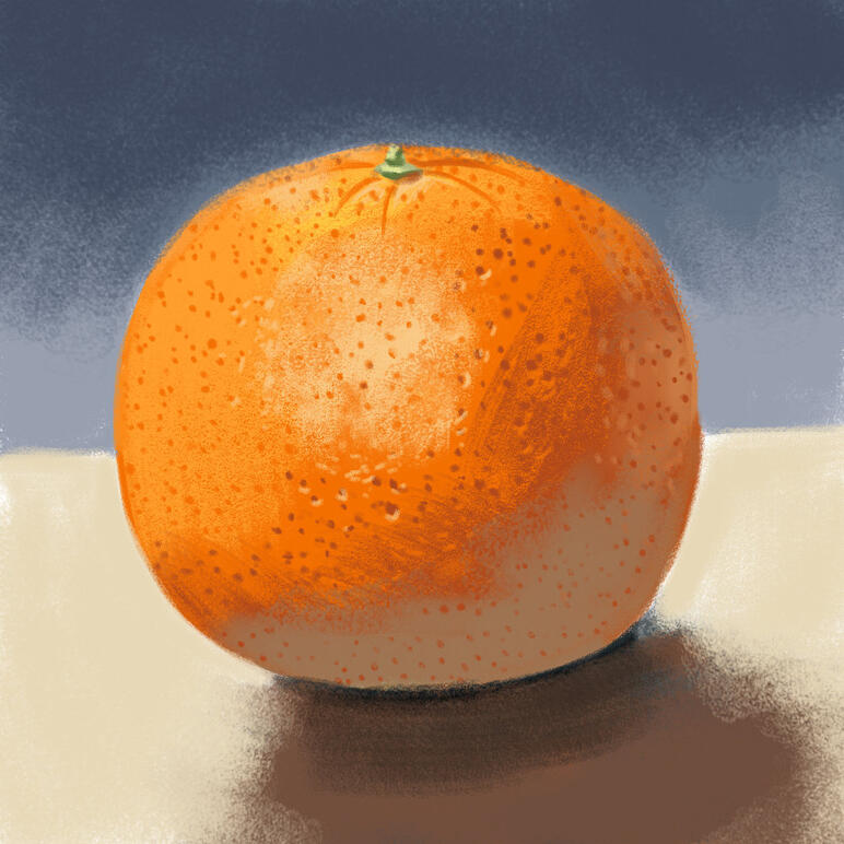 Orange Study 2019